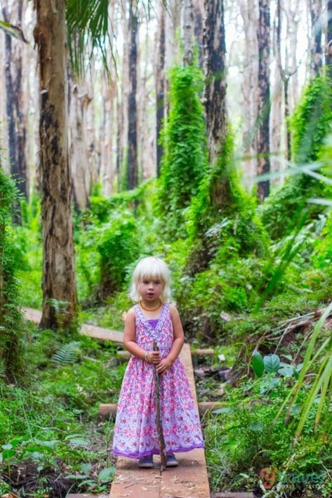 little girl hiking on the Paperbark Forest, Agnes Water, Queensland
