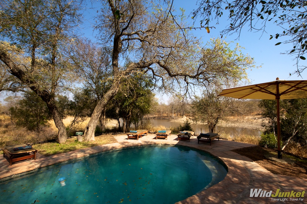 swimming pool at safari lodge