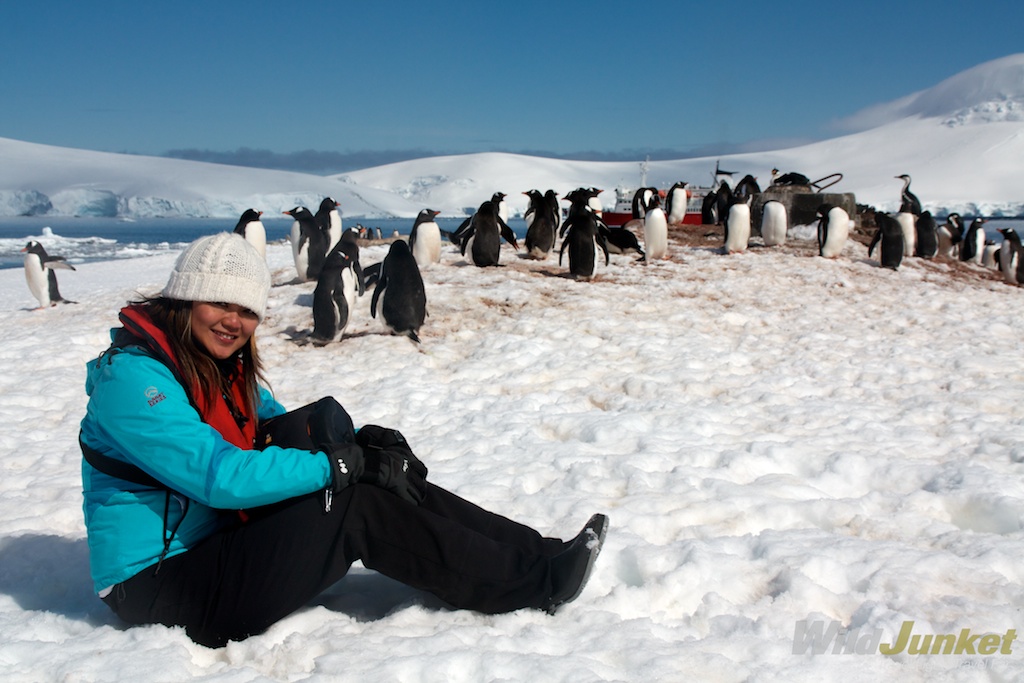 Antarctic expedition cruise - Polar Regions