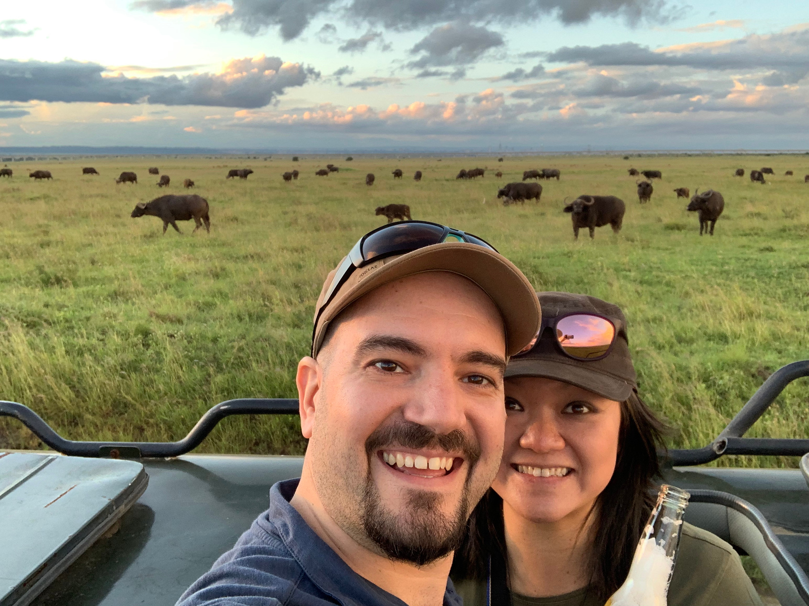 things to know about safari - The best safari moments