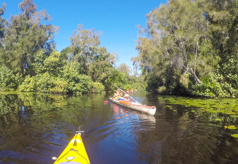 people kayaking