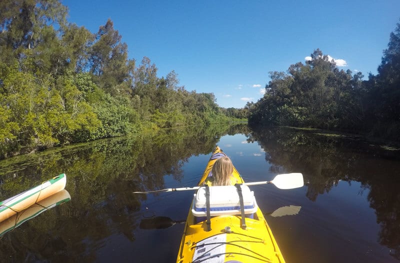 people kayaking