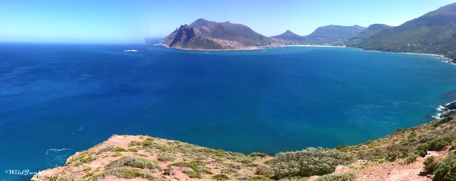 chapmans peak - planning a trip to south africa