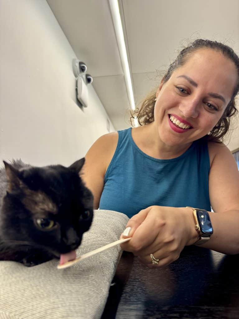 Kate feeds churu on a popsicle stick to Baby Corn, a dwarf black cat with tiny ears and bright green eyes.