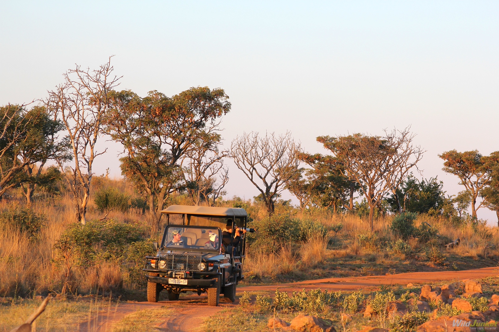 Things to Know Before Your First African Safari - where to go for first safari in africa