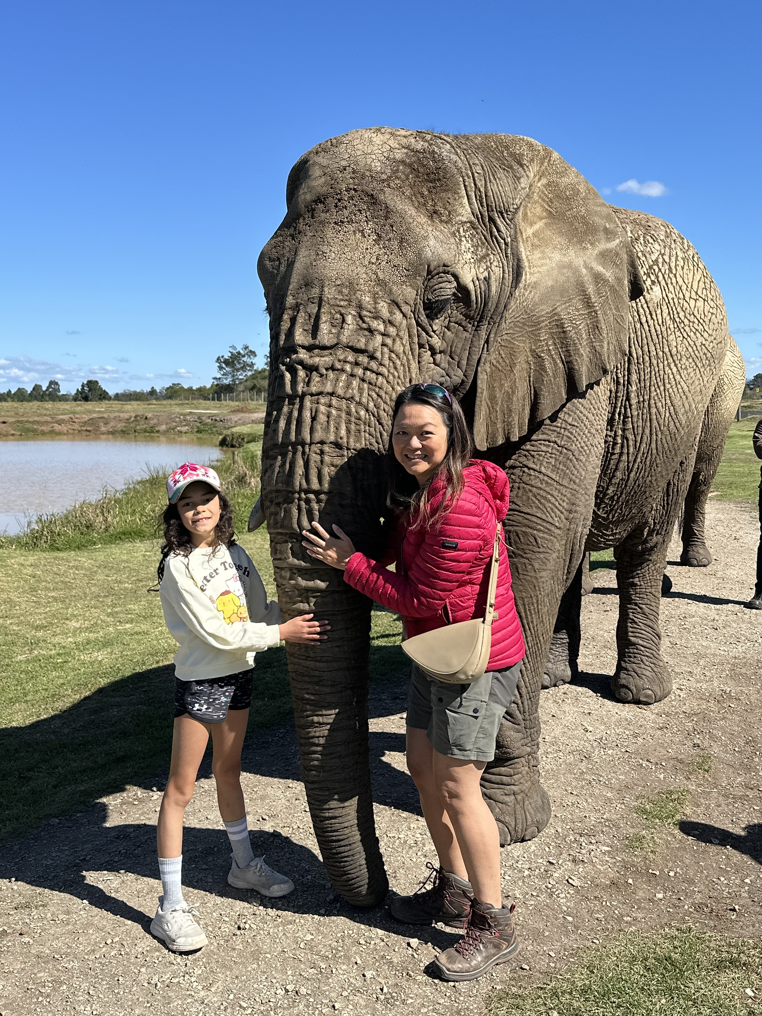 Things to Know Before Your First African Safari - Health and safety
