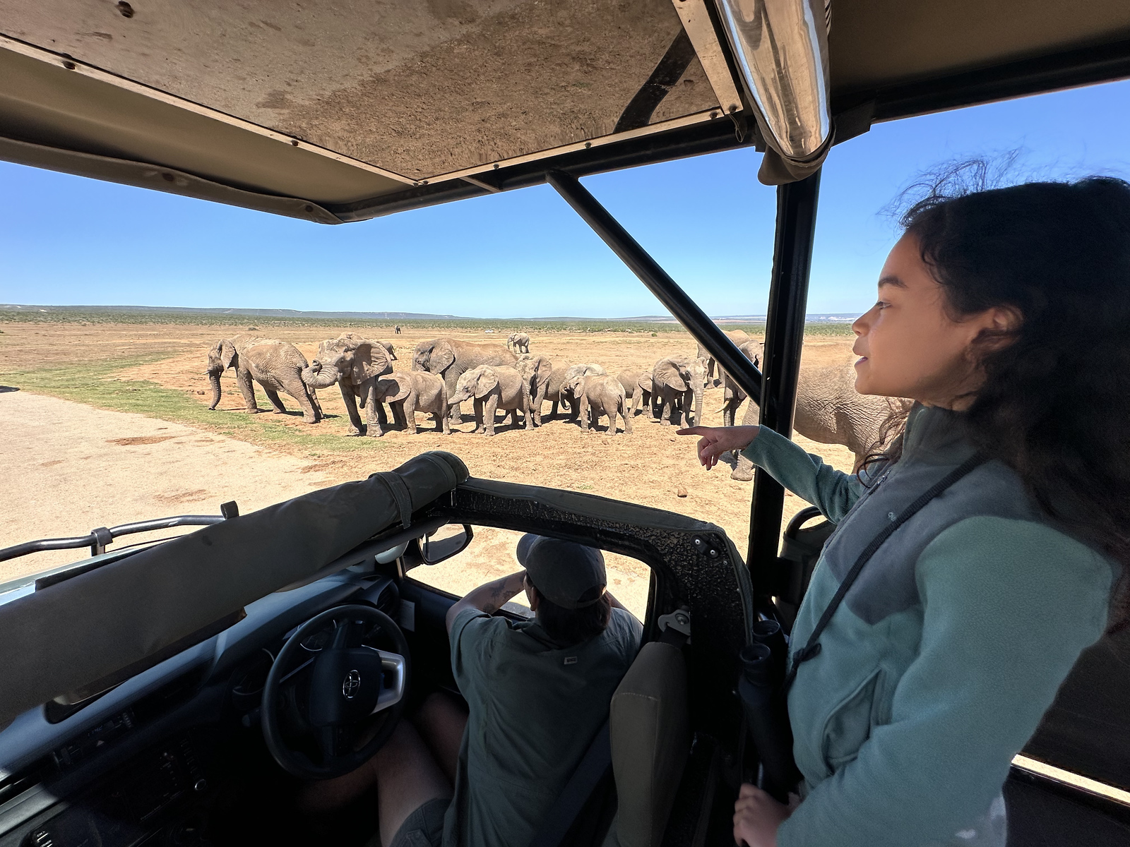 what to know before your first african safari - A good guide can completely transform your safari experience