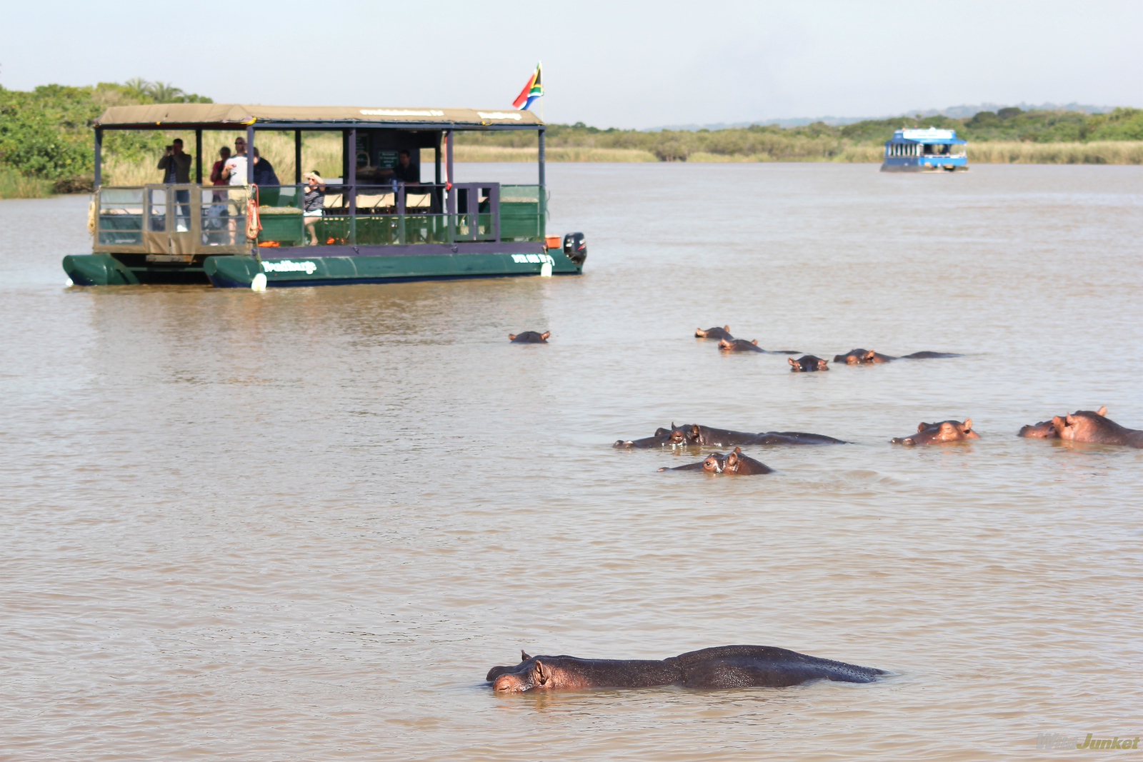 hippo cruise in st lucia south africa