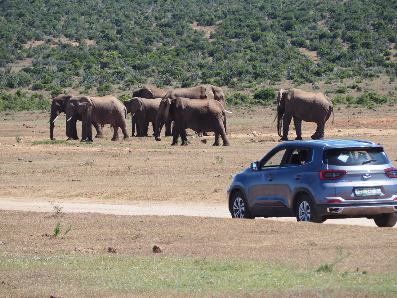 car rental in south africa - family travel