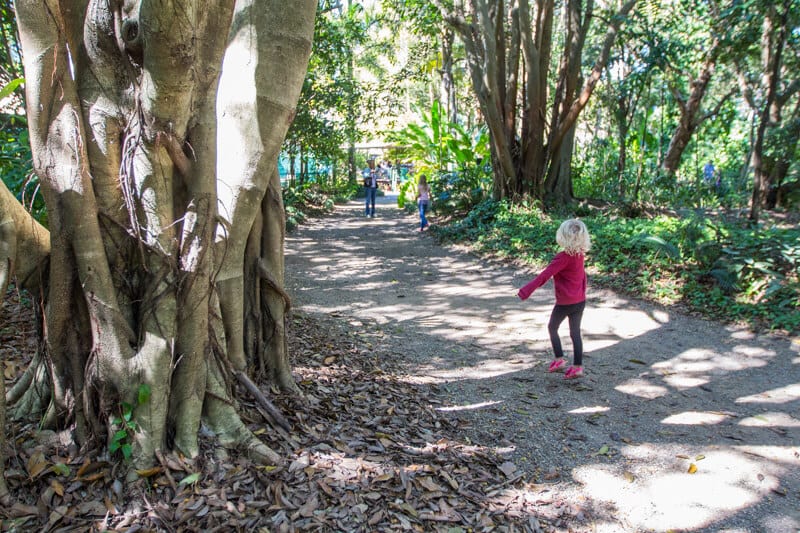girl walking through a path in a forest