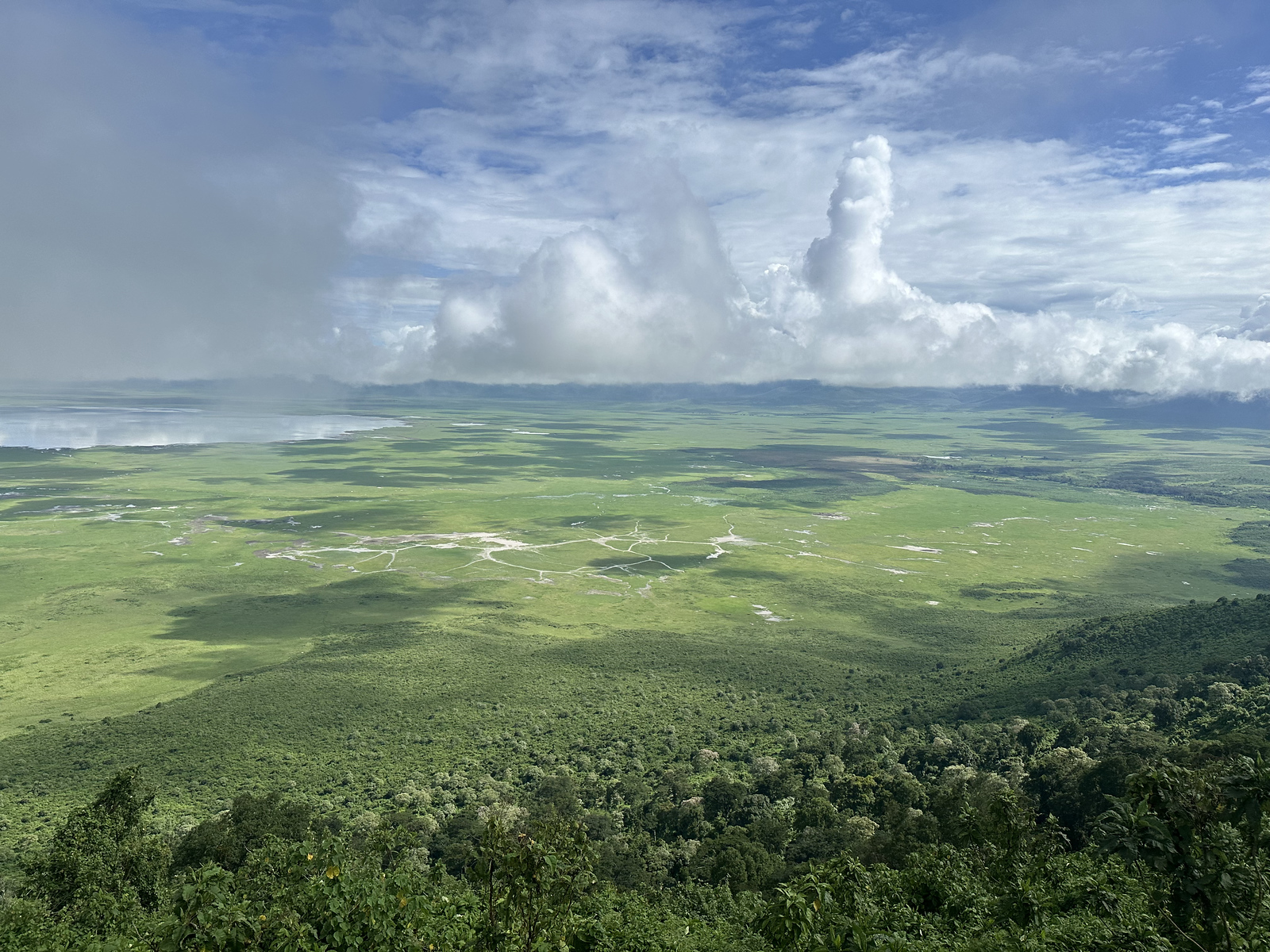 what to know before your first african safari - mobile signal or WiFi