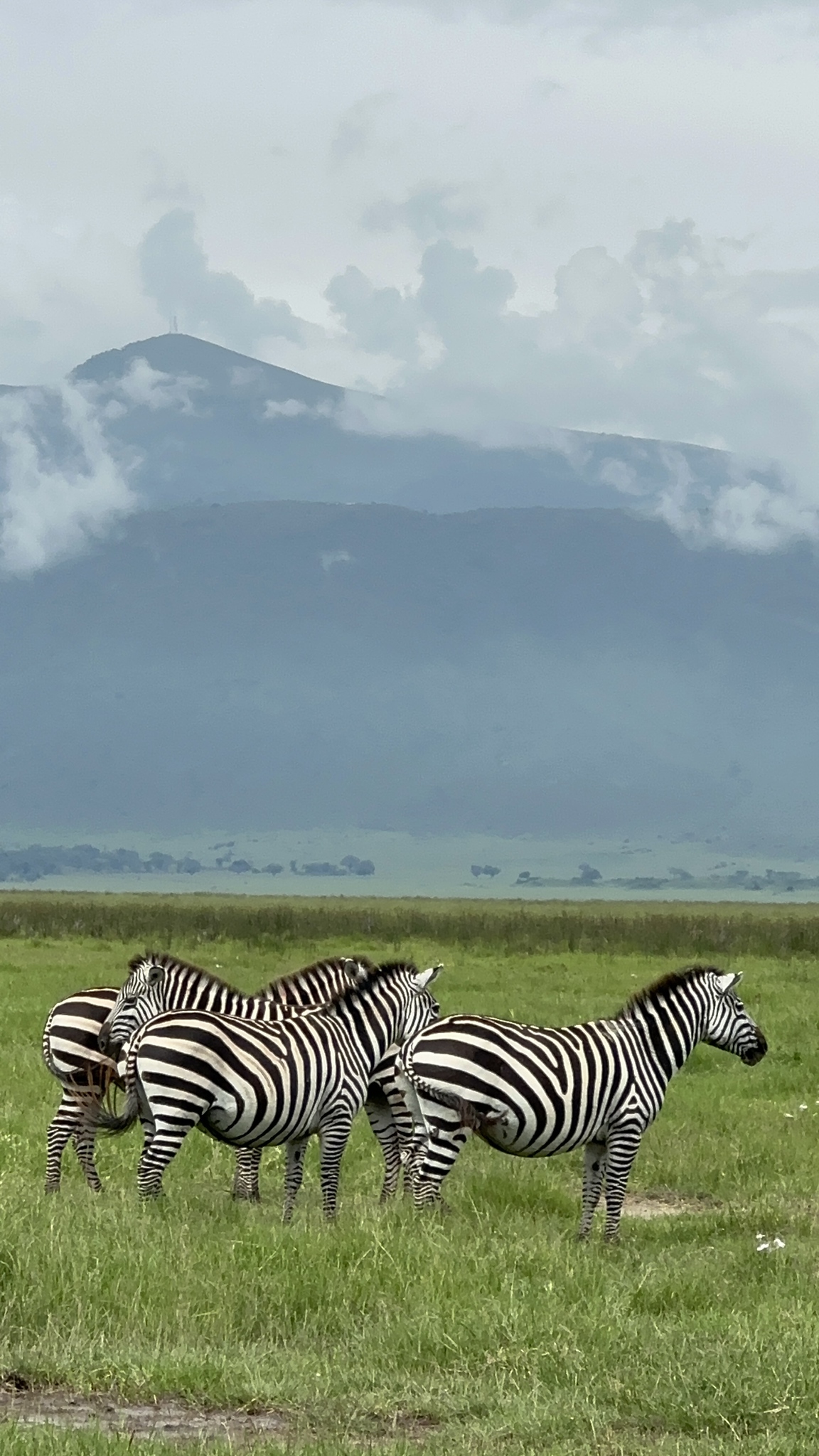 Things to Know Before Your First African Safari - Temperatures change quickly throughout the day