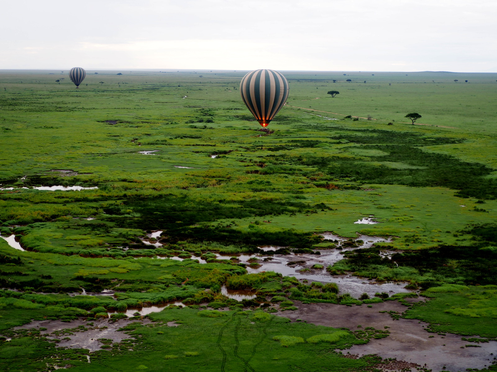 My Tanzania Safari Itinerary: Best Routes & Costs 2026 My Tanzania Safari Itinerary: Best Routes & Costs 2026