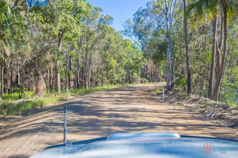 car driving down a dirt road through Deepwater National Park,