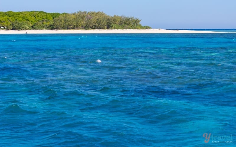 Lady Musgrave Island