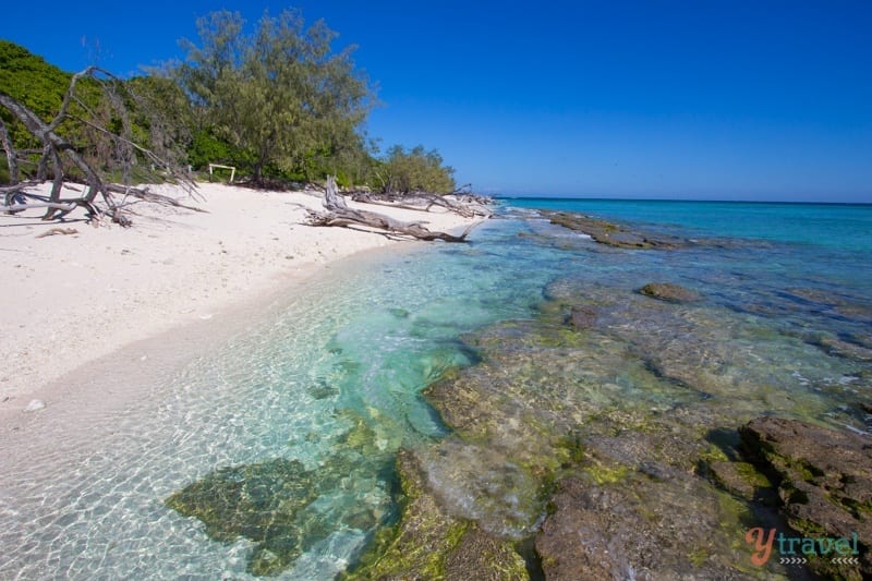 beach on Lady Musgrave Island