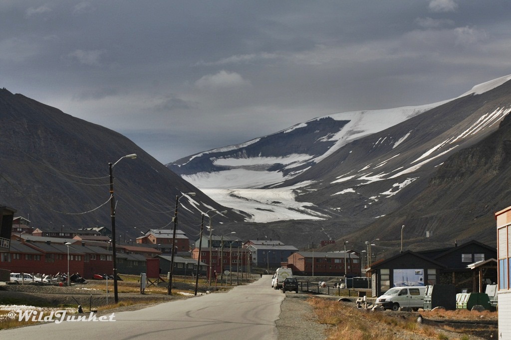 arctic svalbard cruise itinerary
