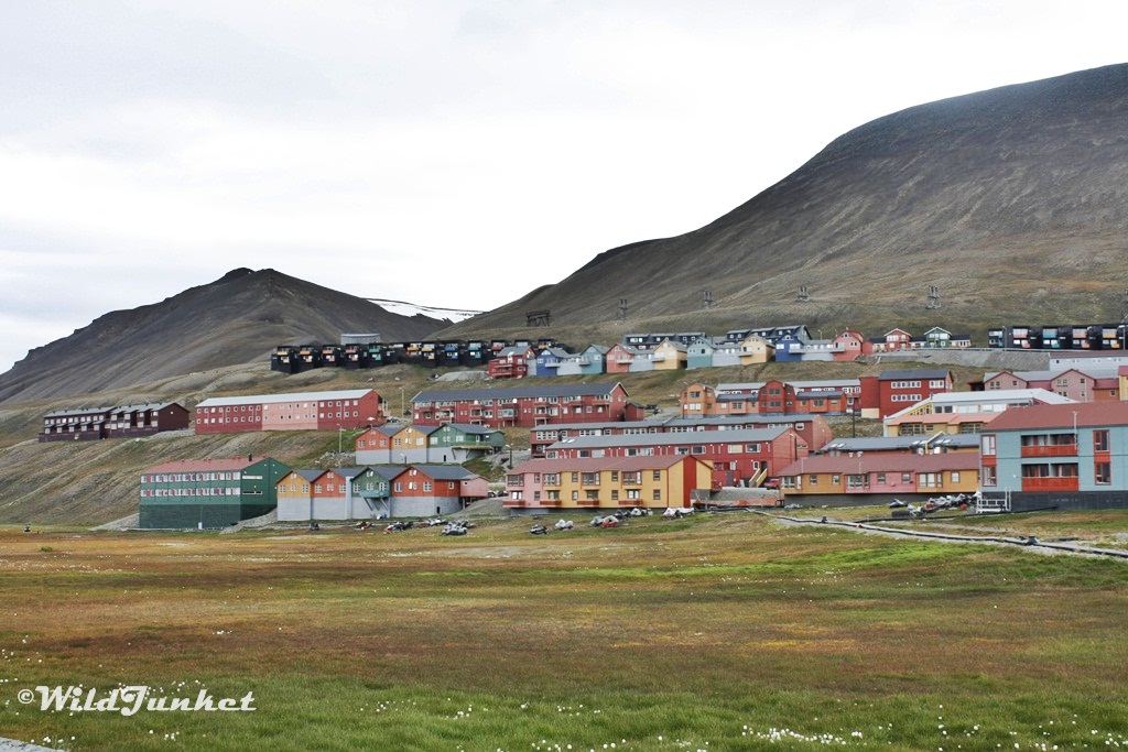cruises to Svalbard - what cruise lines go to Svalbard