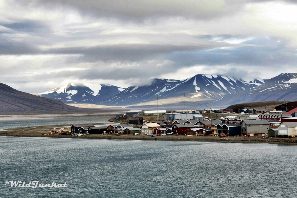 What's It Like to Go on a Svalbard Cruise - The Ideal Time for Svalbard Cruise Tours