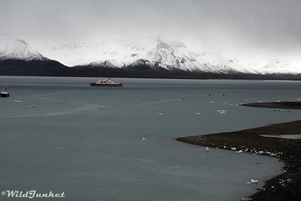 what cruise lines go to Svalbard - Krossfjorden 