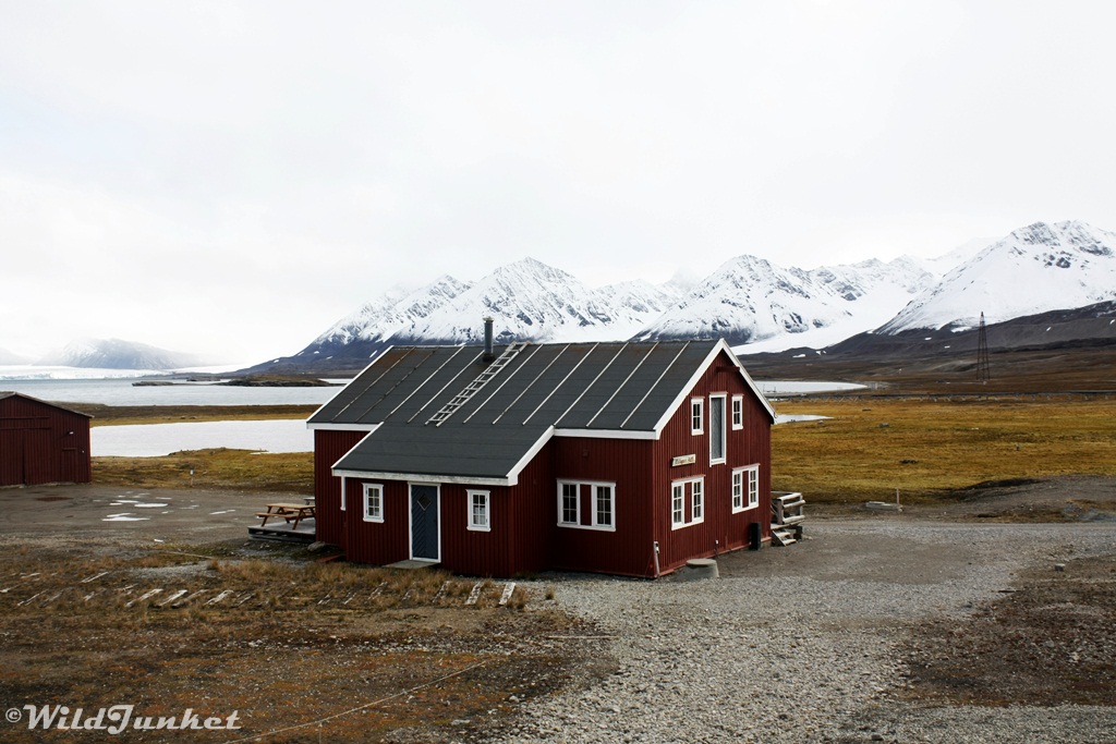 svalbard cruise cost - Ny-Ålesund