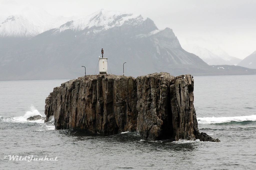 cruises to Svalbard Festningen 