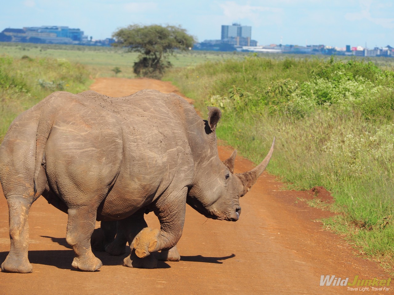 Things to Know Before Your First African Safari - Early mornings