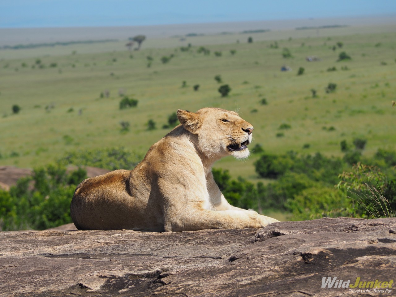first african safari travel tips - A good camera is absolutely worth bringing