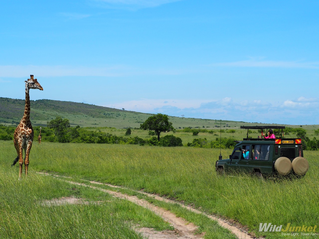 what to know before your first african safari