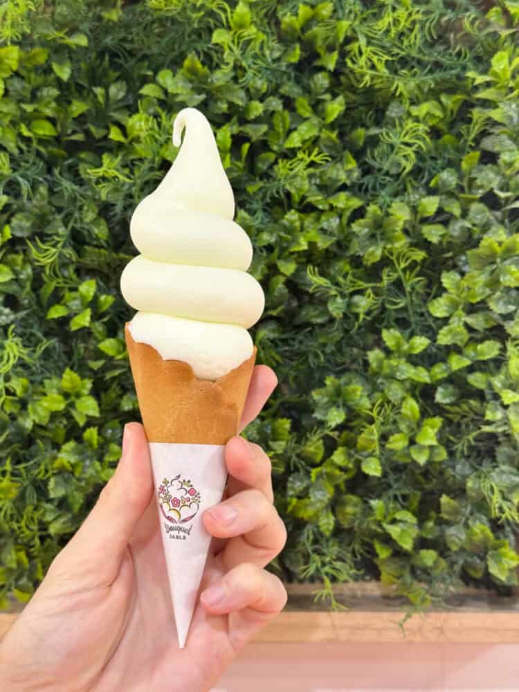 Vanilla soft serve ice cream at Mt Io in Akan Mashu National Park in Hokkkaido, Japan.