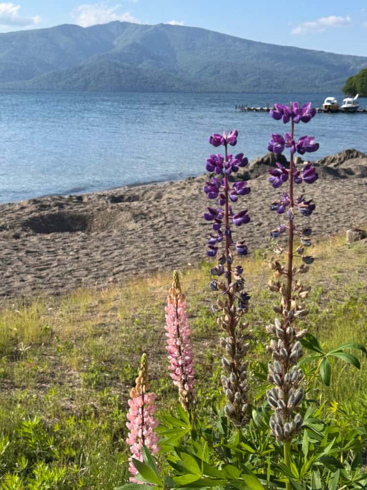 Sunayu beach at Lake Kussharo, Hokkaido.