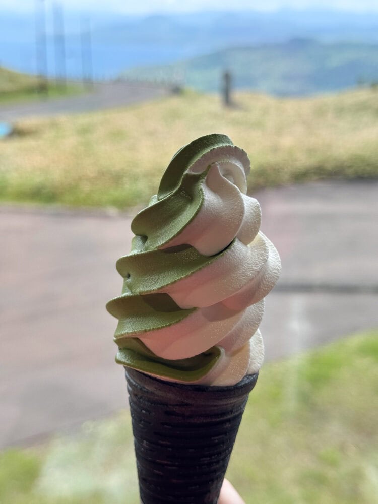 Kumazasa (bamboo leaf) mixed soft serve at Bihoro-toge roadside station above Lake Kussharo, Hokkaido.