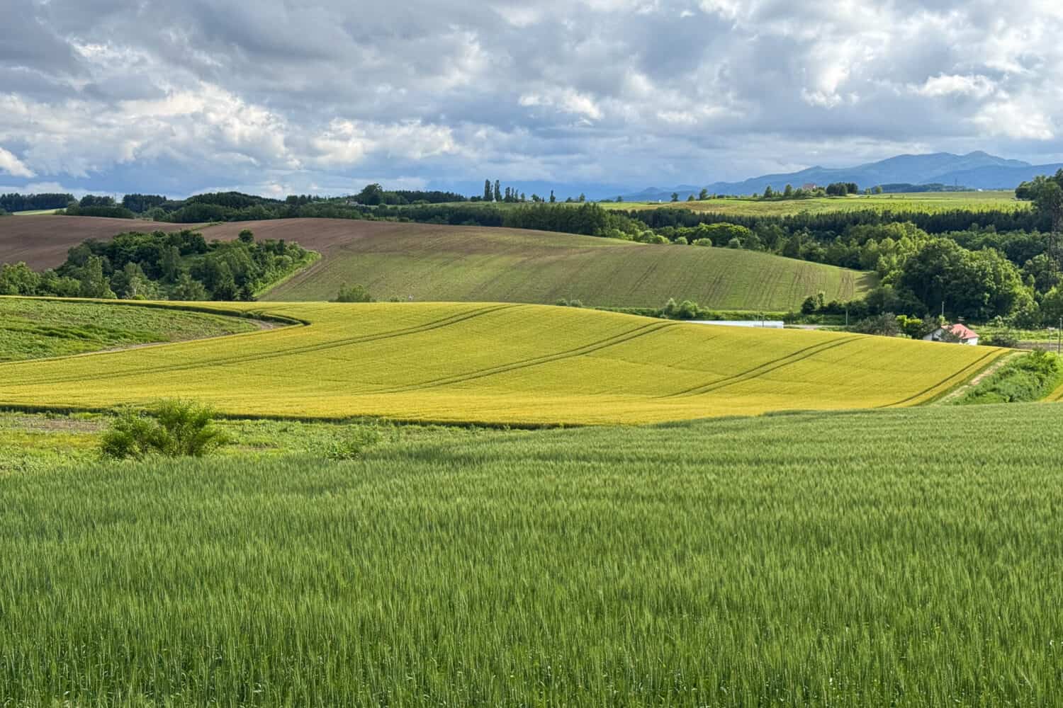 Biei countryside outside Adagio Hokkaido.