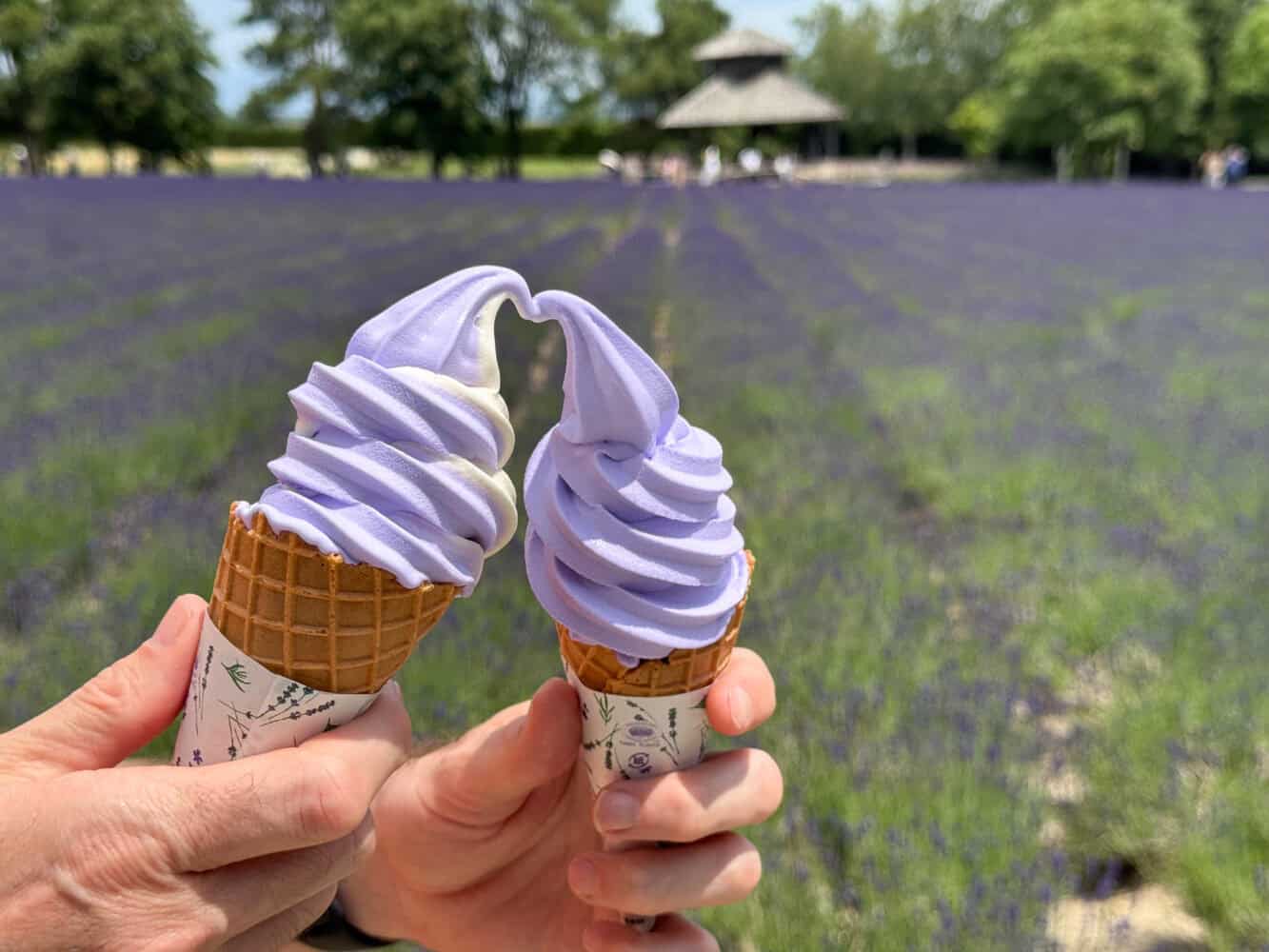 Lavender soft serve ice cream at Farm Tomita, Hokkaido.