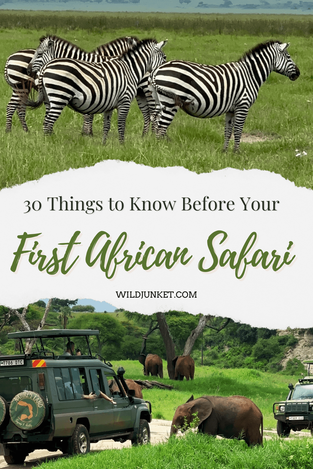 Things to Know Before Your First African Safari