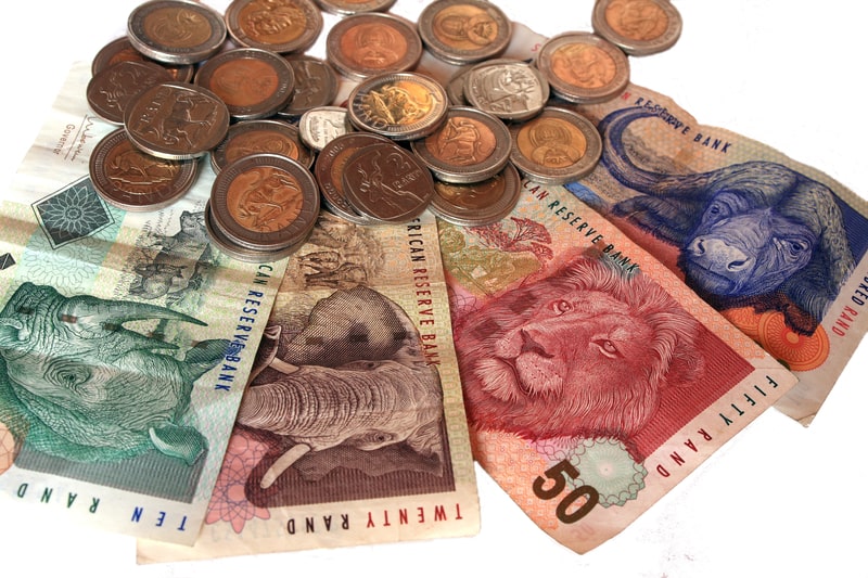 money in south africa
