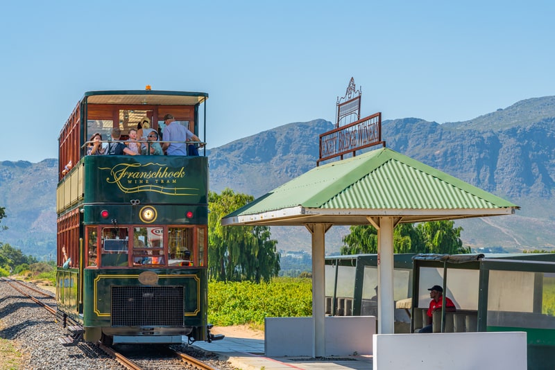 franschoek wine tram - things to do in cape town