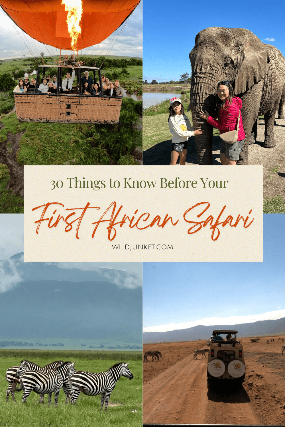 Things to Know Before Your First African Safari
