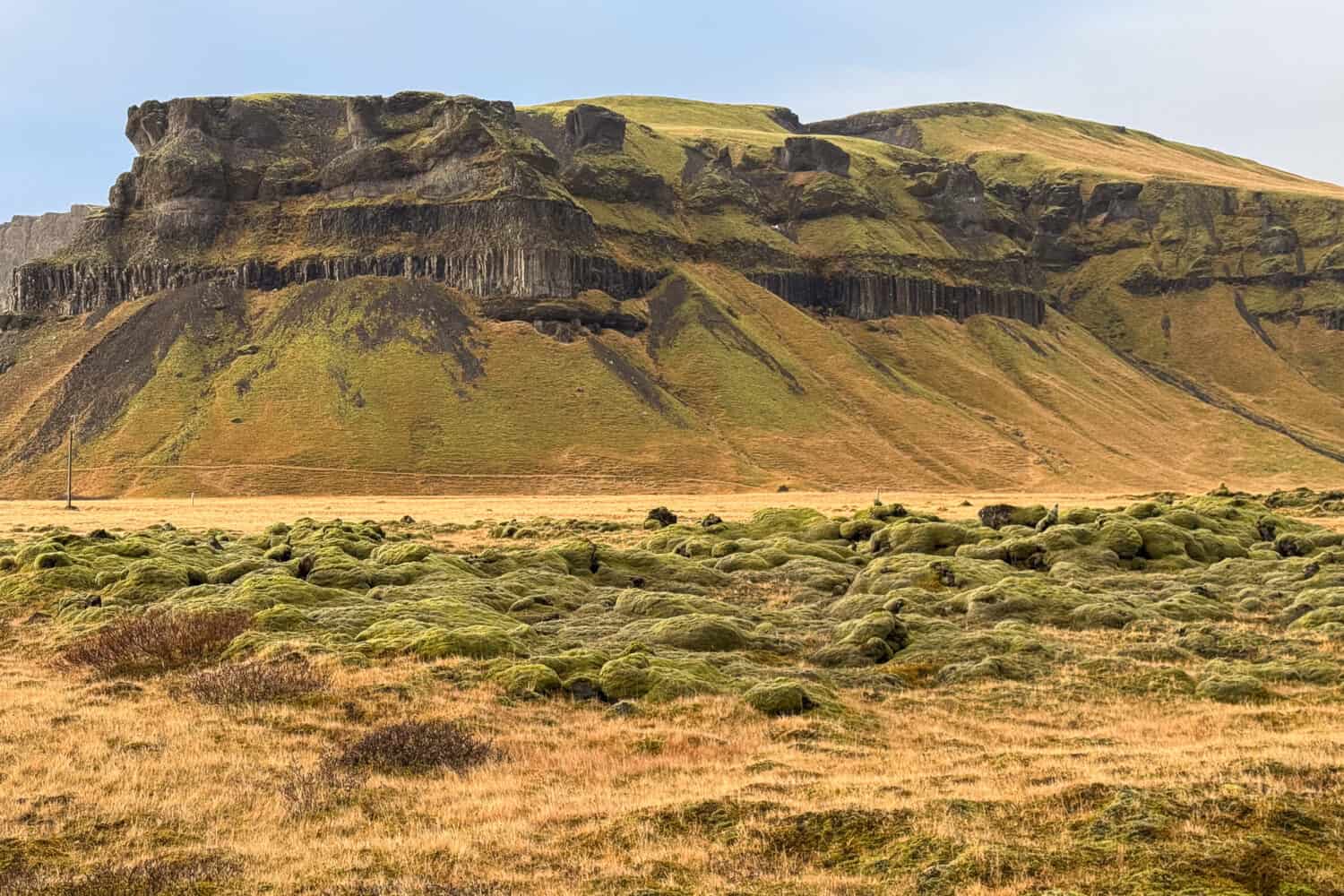 Mossy lava fields in South Iceland.