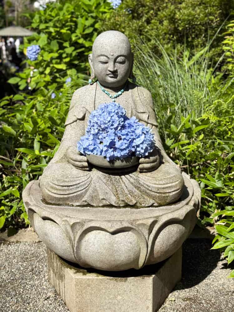 Buddha statue with hydrangeas at Meigetsu-in temple in Kamakura, Japan.