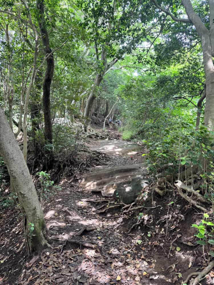 Daibutsu Hiking Trail in Kamakura, Japan.