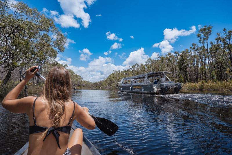 Canoeing through the Everglades with the EcoSafari boat in the background
