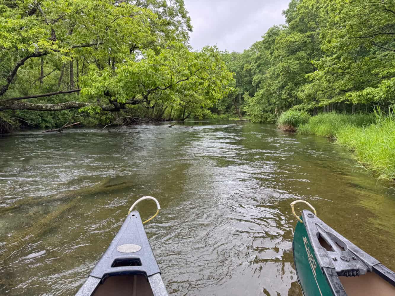 Canoeing on the Kushiro River from Lake Kussharo, Hokkaido.