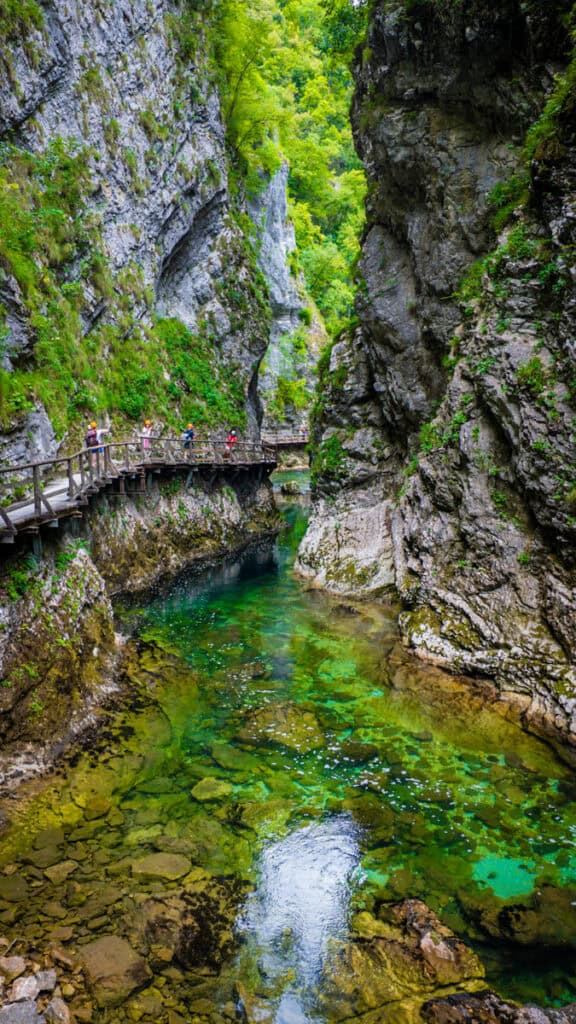people walking through Vintgar Gorge