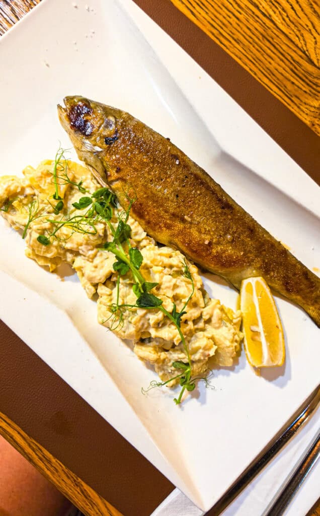 slovenian trout