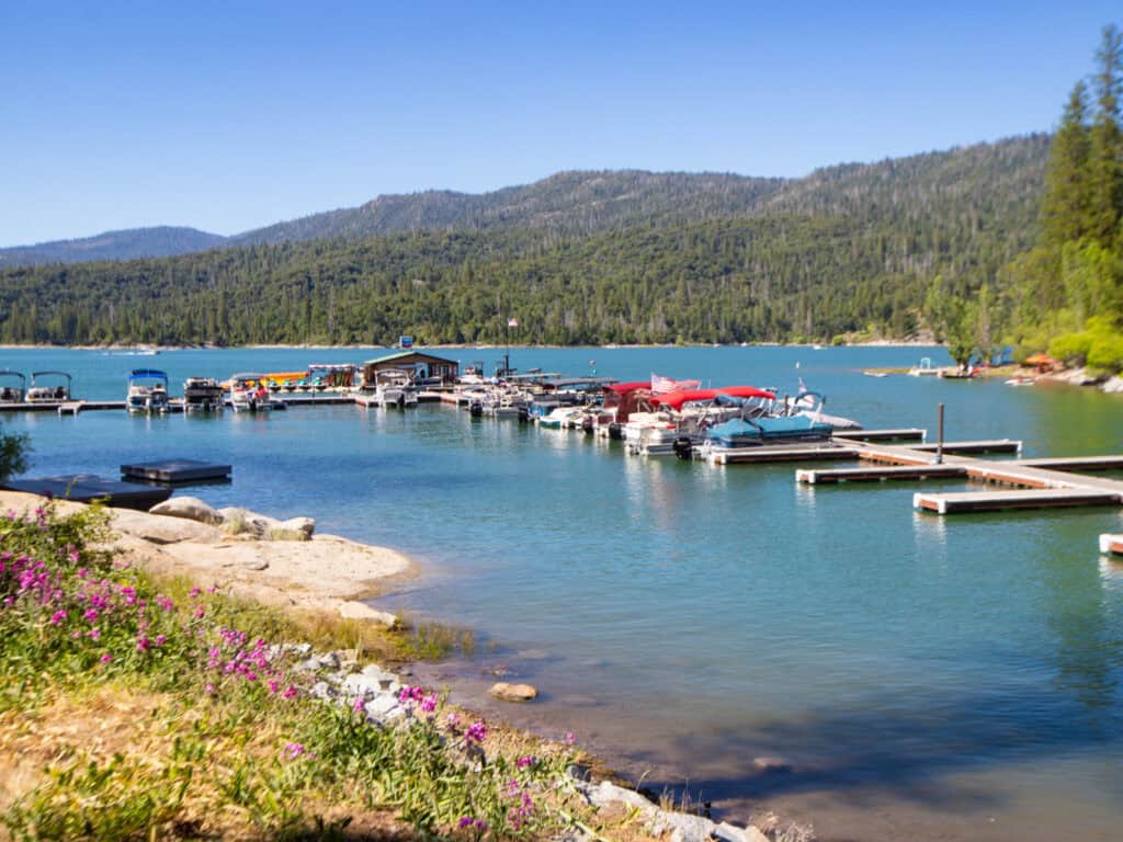 Bass Lake marina