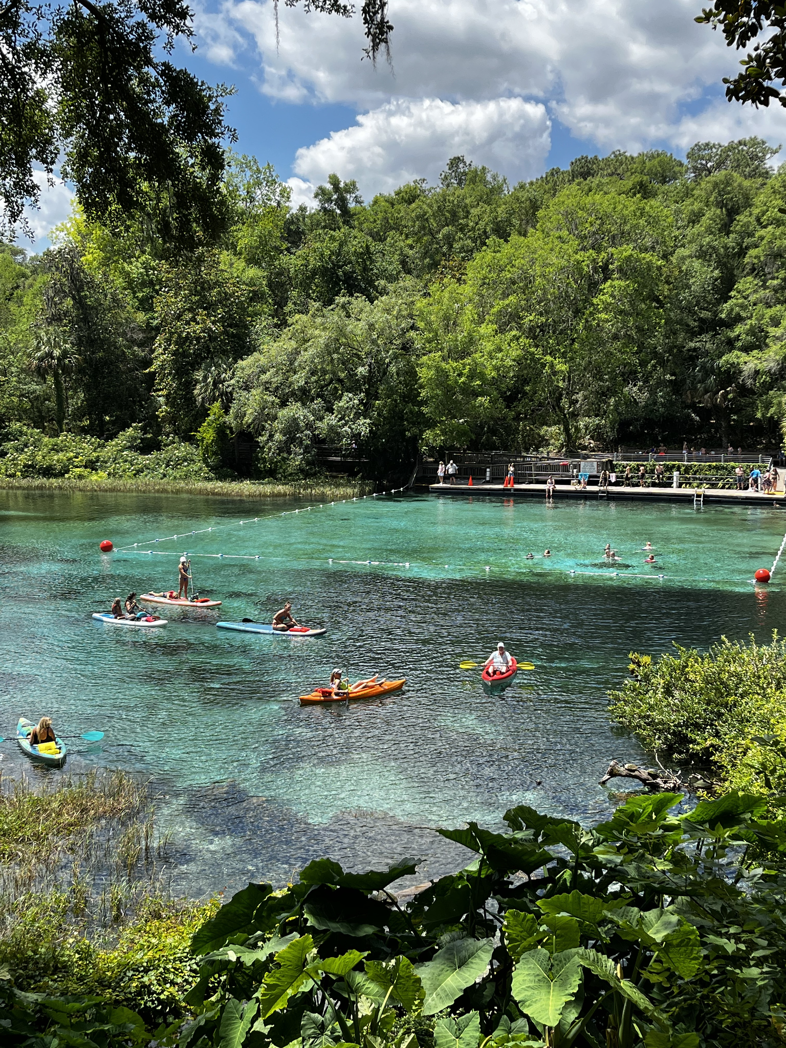 weekend in Orlando - Tibet-Butler Preserve