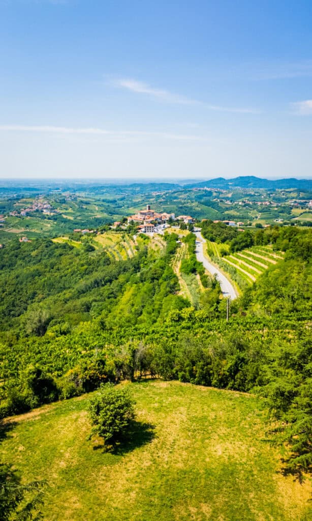 views over goriska brda wine region