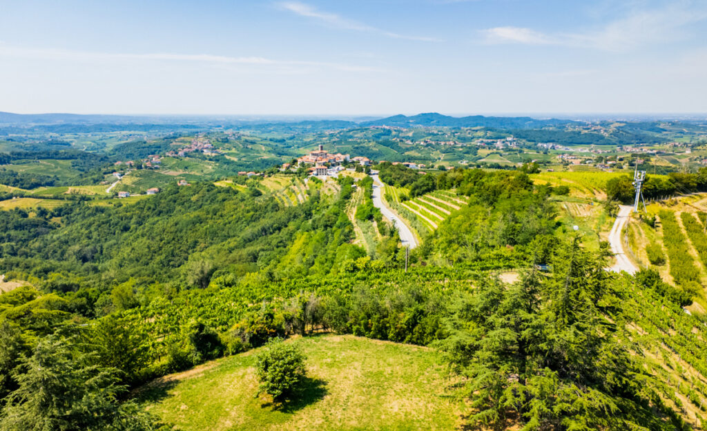 small village on hill in Goriška Brda 