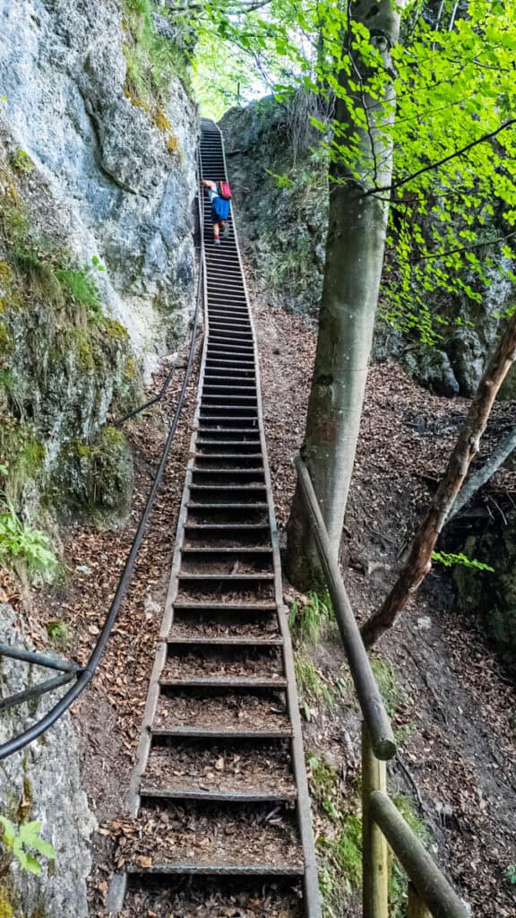 stairs on Mala Osojnica trail